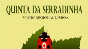 logo quinta da serradinha